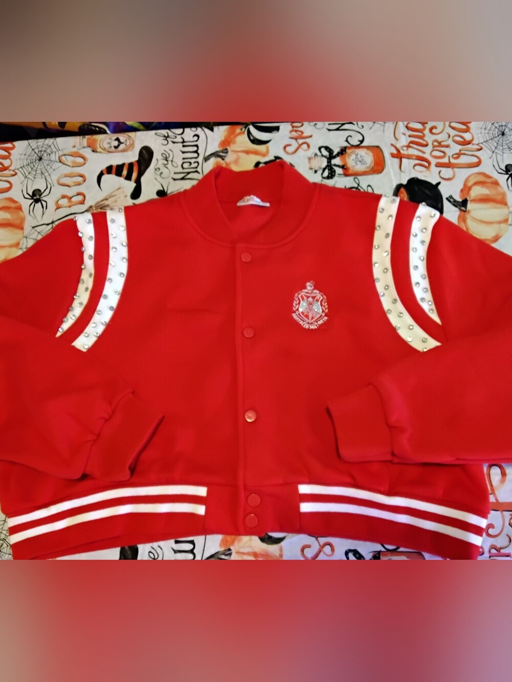 Delta Sigma Theta Sorority cropped varsity jacket Women’s size XXL 2X NEW
